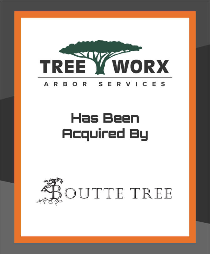 GP.Treeworx